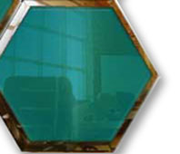 Everything you ever wanted to know about IMRL